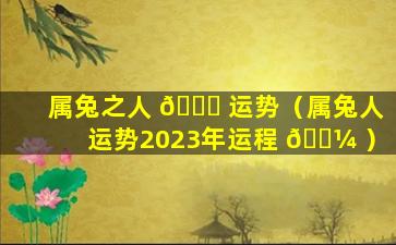 属兔之人 🐒 运势（属兔人运势2023年运程 🐼 ）